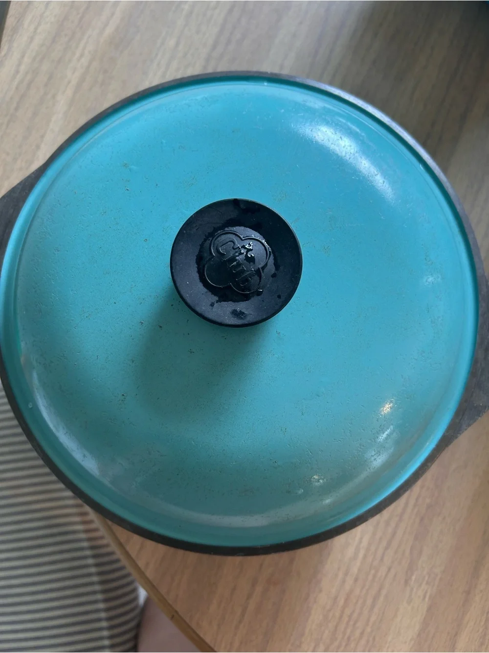 Club Vintage Turquoise Dutch oven, 5 quart